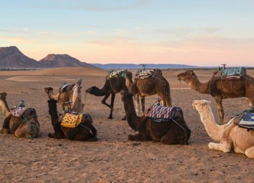 Excursion 2 Jours au Désert de Zagora