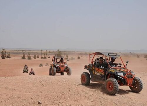 Quad & Chameaux au Désert d’Agafay